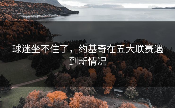 球迷坐不住了，约基奇在五大联赛遇到新情况